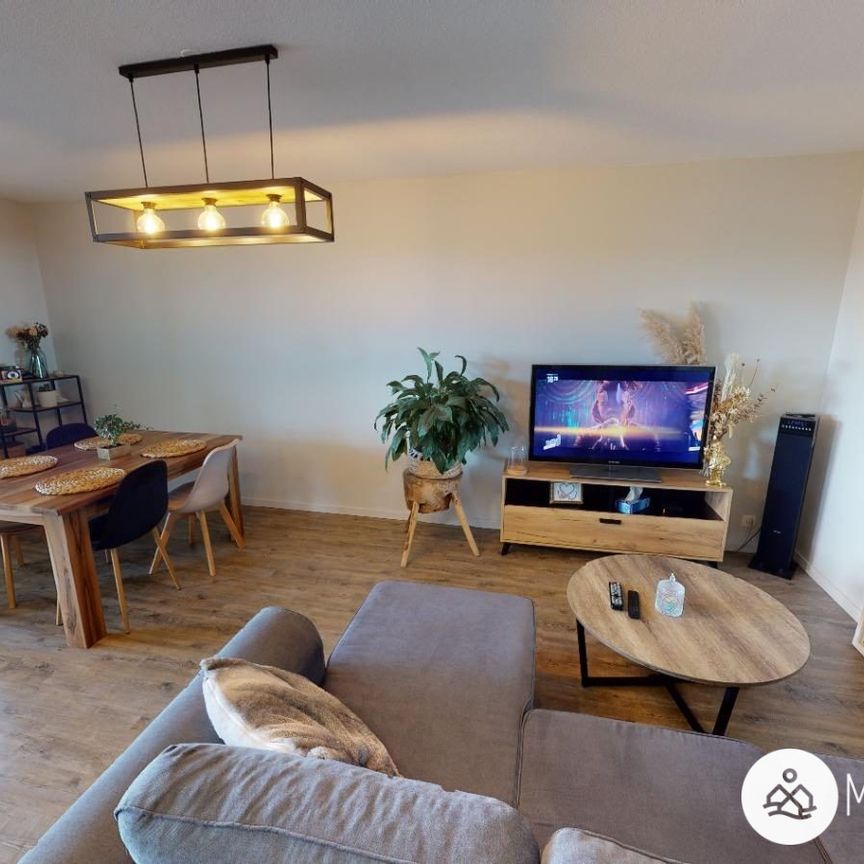 Location Appartement 2 pièces 50m² ALBI 81000 - Photo 1