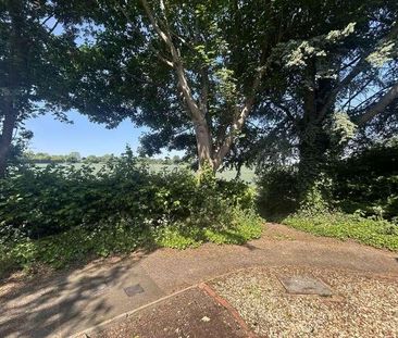 Wadnall Way, Knebworth, SG3 - Photo 3