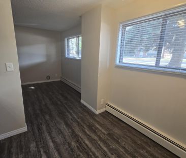 Modern Ground Floor 2 Bedroom in the Heart of Downtown - Photo 2