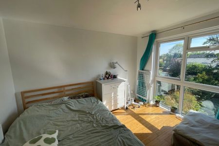 Dale Grove - Photo 3