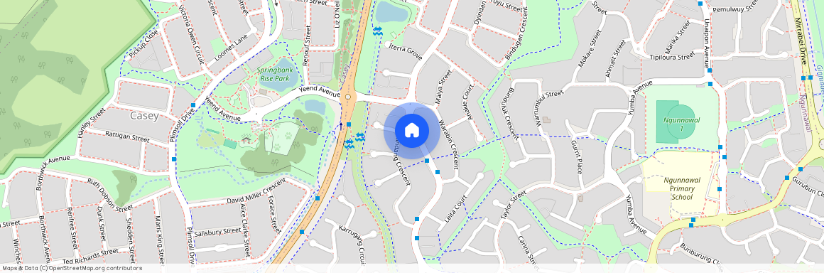 133 Jabanungga Avenue, Ngunnawal