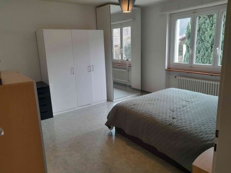 2.5 Zimmer, 53 m², 1. Stock - Photo 2