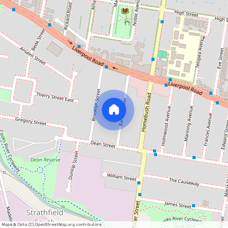 21 Barton Street, NSW 2136, Strathfield South