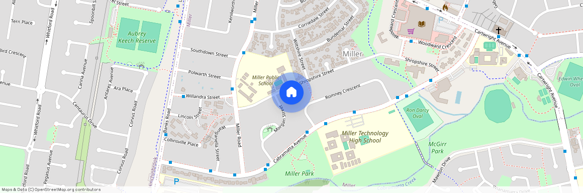 22 Shropshire Street, Miller 2168, New South Wales