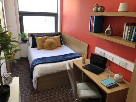 Classic Studio - Photo 4