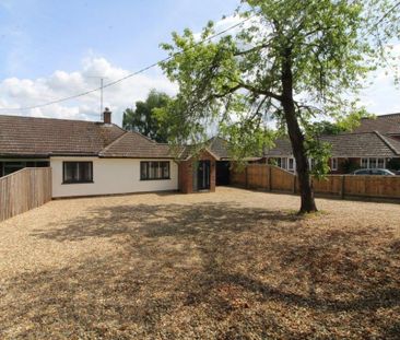 2 bedroom bungalow to rent - Photo 1