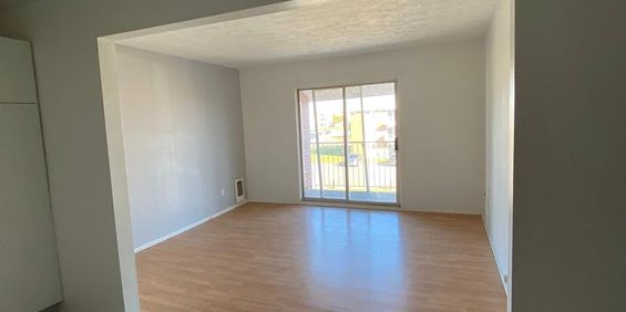 GRAND ET LUMINEUX 4.5 DISPONIBLE 1er MARS 2025 - Photo 3