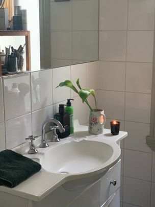 Albert Park - Photo 1