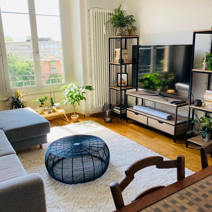 Joli appartement de 2 pièces avec cachet proche du lac - Photo 1