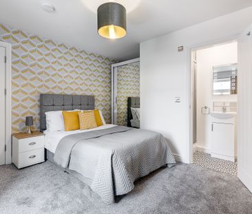 SINGLE PROFESSIONALS ONLY REQUIRED FOR LARGE CONTEMPORARY ROOM IN 5... - Photo 3