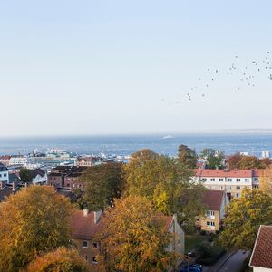 Lilla Möllevångsgatan 5 B - Photo 2