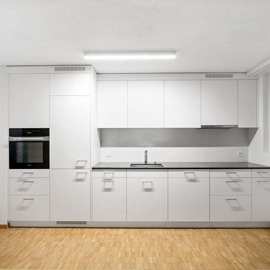 Zentrale Stadtwohnung direkt an der Limmat - Photo 1