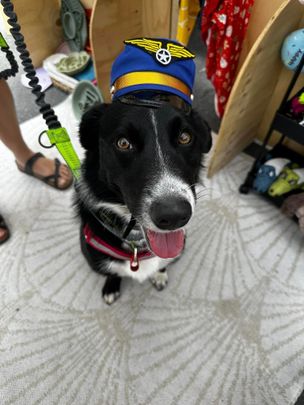 Redbank Plains - Photo 1