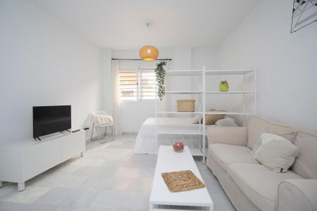 Estudio de alquiler en Fernando el Catolico, Cristo de la Epidemia - Photo 3