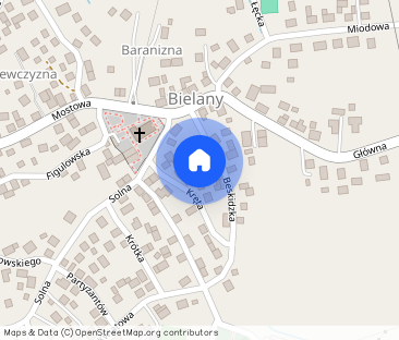 Dom 8 pokoi Piwnic Part Piętro Poddasz Ogrodzo 1 h w Bielanach /Kęty - Photo 1