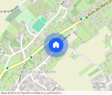 Villa • Curis-au-Mont-d'Or - Photo 1