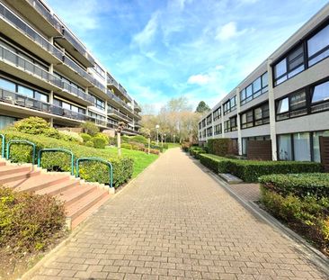 Rez-de-chaussée - à louer - Photo 6