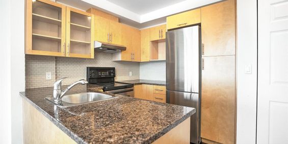 Studio - 400, Sherbrooke Ouest, Montréal - Photo 3