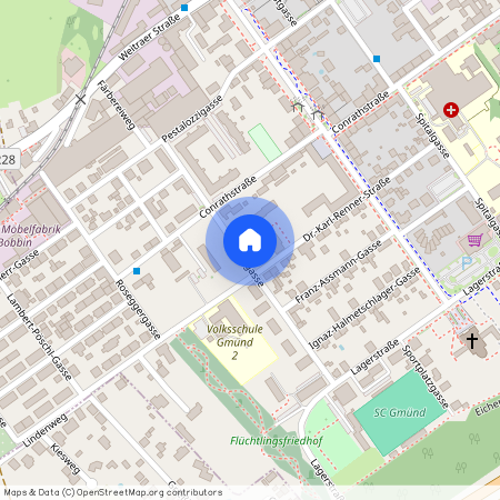 Stiftergasse 9, 3950, Gmünd