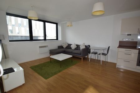 1 Bed Flat, Mann Island, L3 - Photo 2