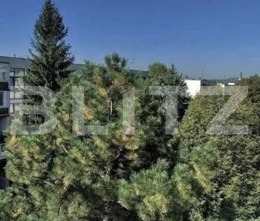 Apartament de inchiriat, 2 camere, 62 mp, zona Andrei Muresanu - Photo 6