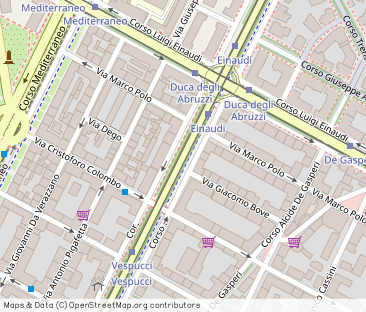 Corso Duca degli Abruzzi, Turin - Photo 1
