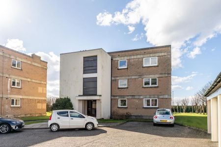 3 bedroom flat to rent - Photo 2