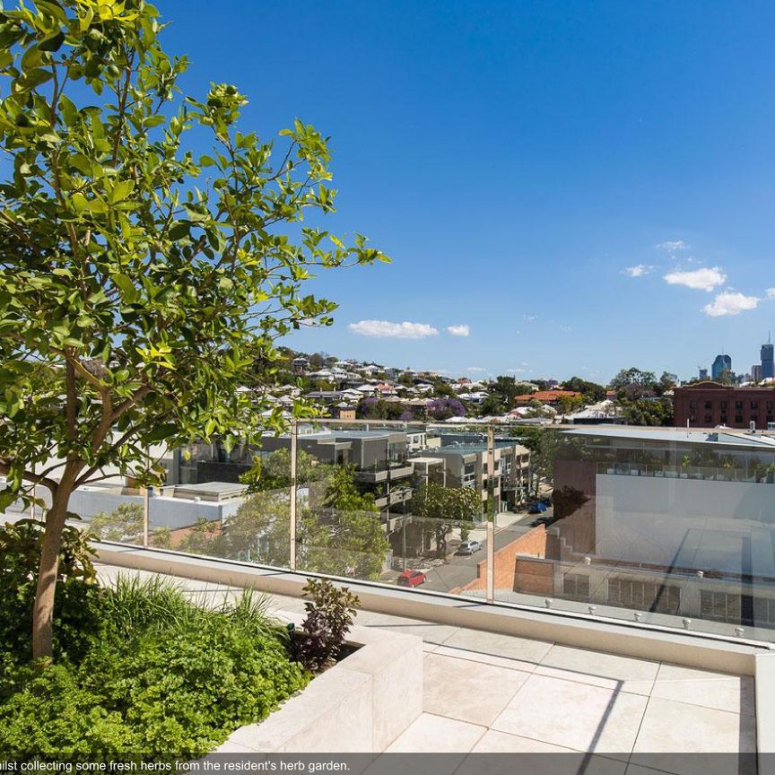 416/38 Helen Street, Teneriffe QLD 4005 - Apartment For Rent - $675 | Domain - Photo 1