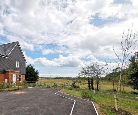 Renoldson Drive, Bursledon, Southampton, SO31 - Photo 2