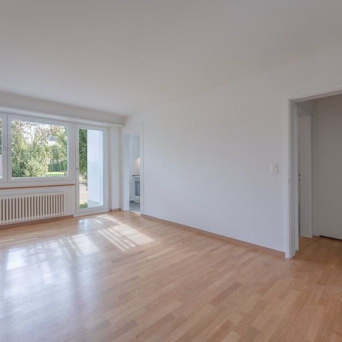 Beautiful apartment is looking for a new tenant - Photo 1