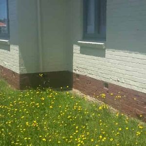 Cozy 3 Bedroom Home - Photo 2