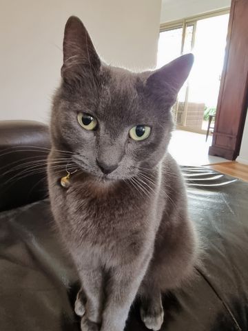 Scarborough - Photo 2