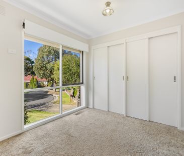 Fabulous Court Location - Photo 1