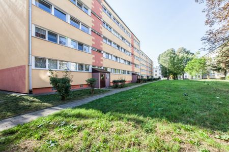 Kawalerka do wynajęcia - Фото 3