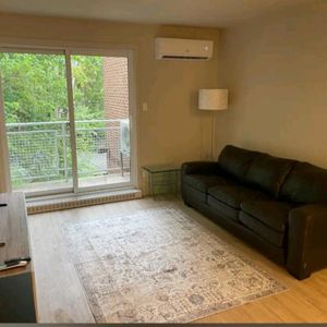 Appartement 3 1/2 lumineux - Photo 2
