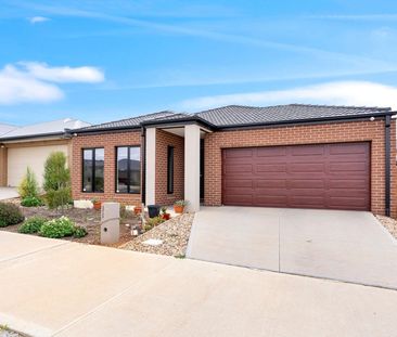 Outstanding O'Leary! - Photo 6