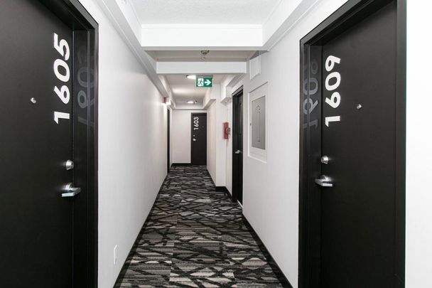 Appartement à louer - Montréal (Le Plateau-Mont-Royal) (Le Plateau-Mont-Royal) Appartement à louer - Montréal (Le Plateau-Mont-Royal) (Le Plateau-Mont-Royal) - Photo 1