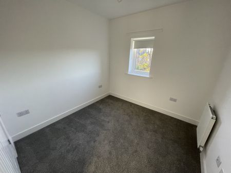 The Hawking - Photo 2