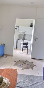 Location appartement 1 pièce, 20.20m², Le Blanc-Mesnil - Photo 3