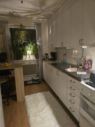 Hörle Björkelund 1 - Photo 1