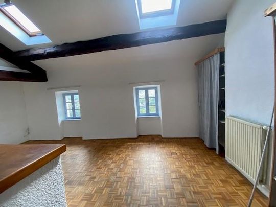 Location Appartement 3 pièces 52m² PRIVAS 07000 - Photo 1