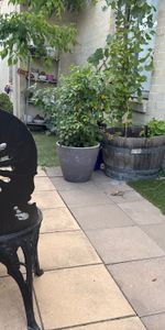 Noble Park - Photo 4