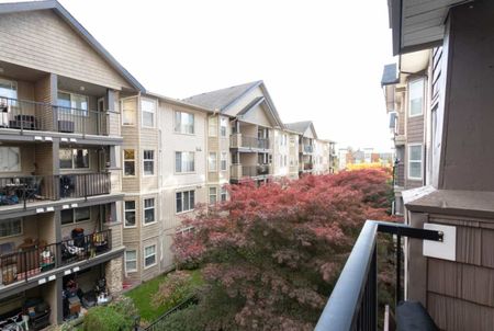 306-5454 198 St, Langley - Photo 5