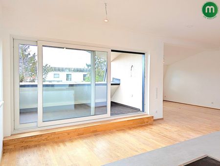 DG Traum – Erstbezug am Naherholungsgebiet Lobau - Photo 3