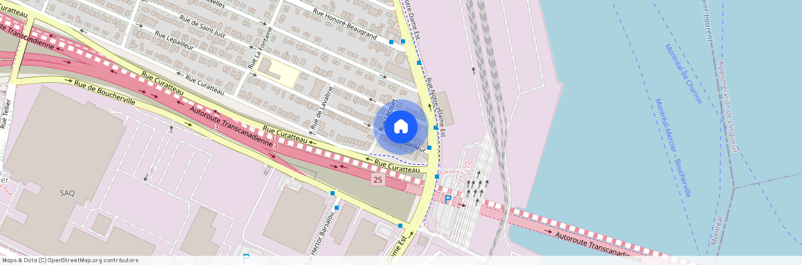 561 Rue Lepailleur, Mercier-Hochelaga-Maisonneuve, Mercier-Hochelaga-Maisonneuve, Ile de Montréal, H1L 6M9