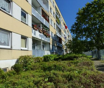 Herrlicher Ausblick in Richtung Wald - sanierte Wohnung - Photo 1