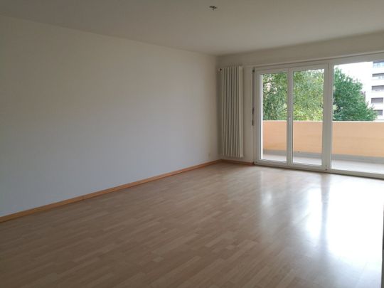 Lac 46 - Appart. 4 p - Photo 1