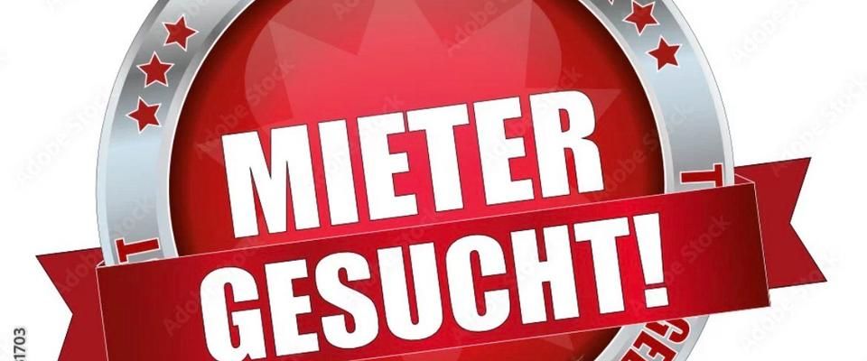 Mieter gesucht Do-Huckarde - Photo 1