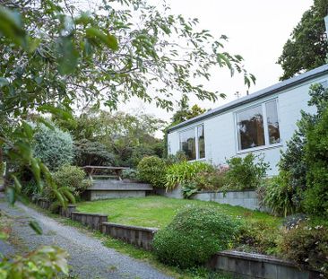 Spacious Sunny Family Home - Photo 2