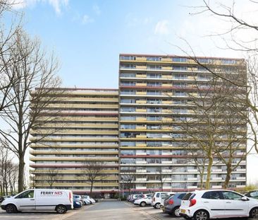 Oost Dorsch 0ong, 1504 Zaandam, Nederland - Photo 1